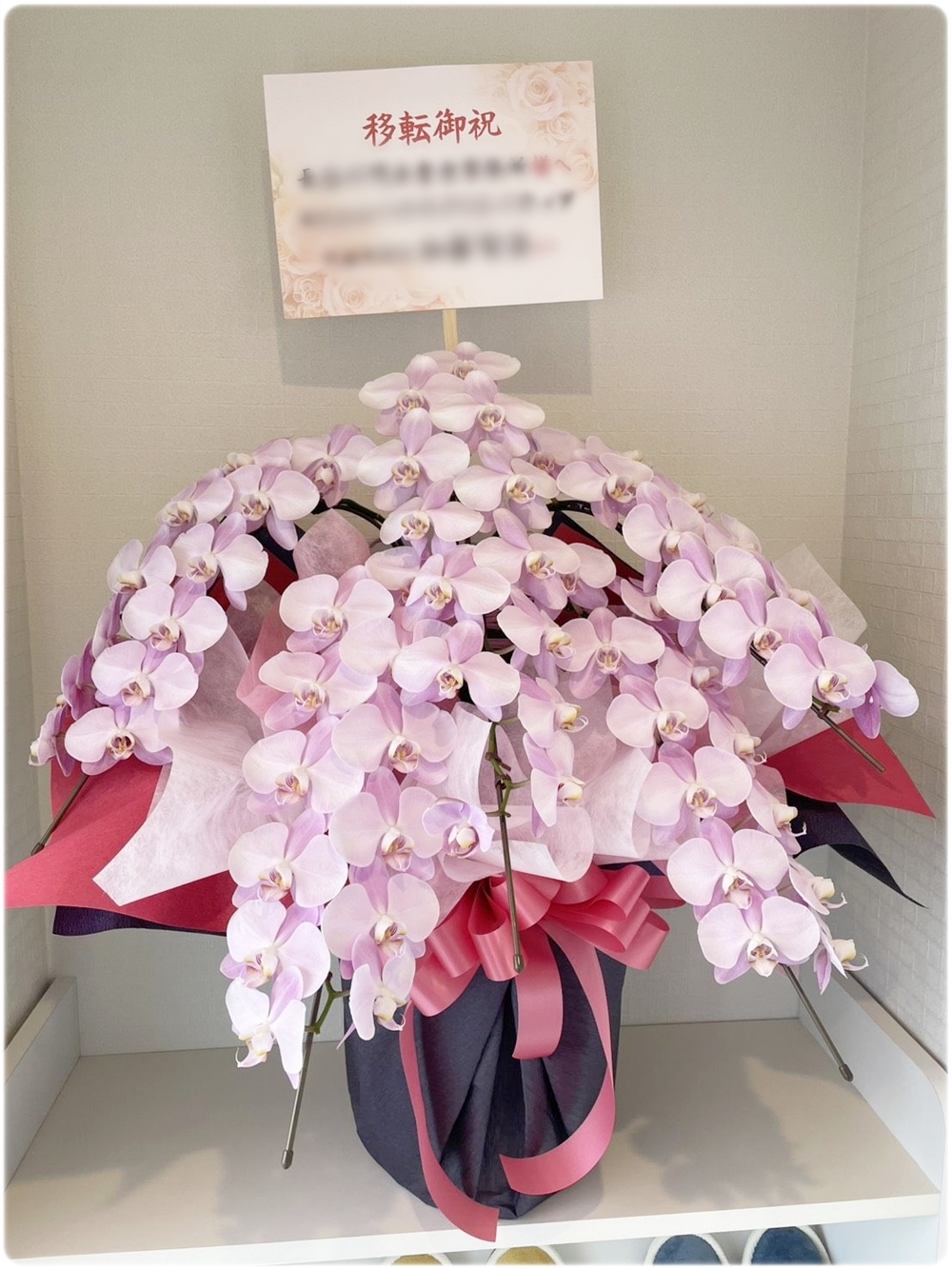 京都で開店祝いに贈られたピンクの胡蝶蘭の納品事例。華やかで上品な印象の胡蝶蘭です。