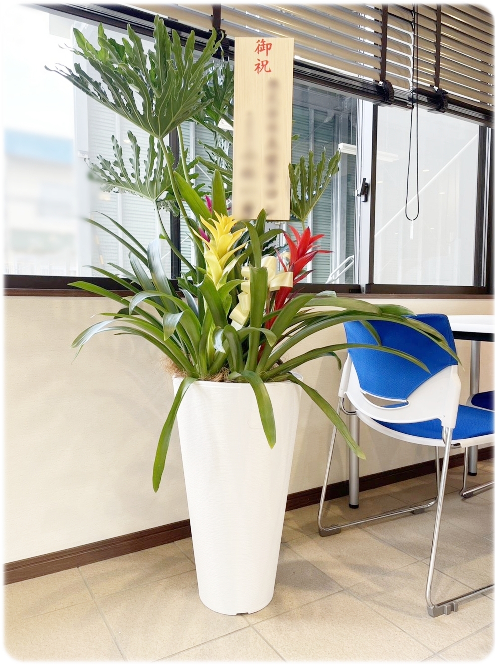 開店祝いのアンスリウムとグズマニアの寄せ植え 京都 醍醐