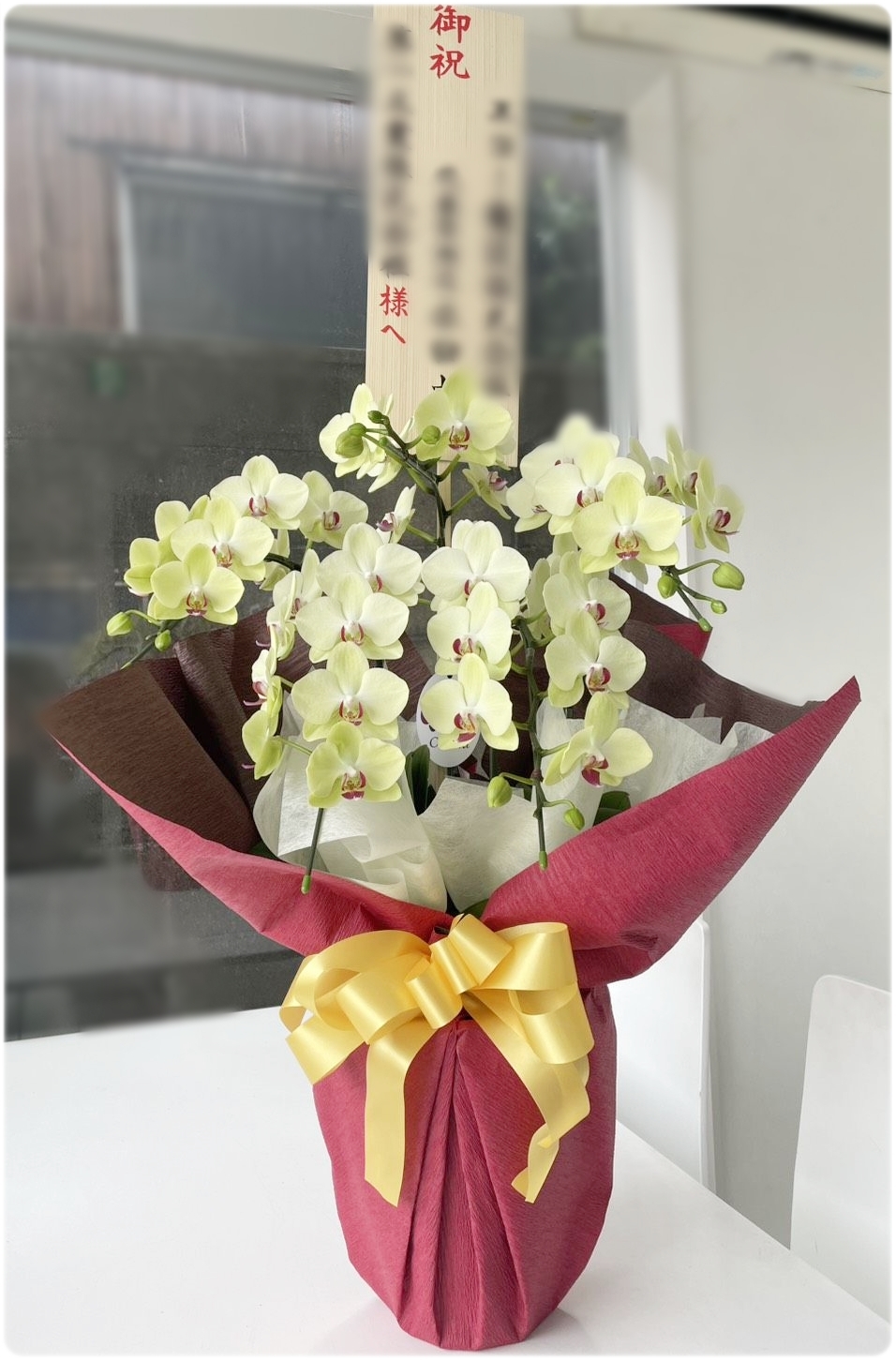 京都で相談できる珍しいグリーンの胡蝶蘭。開店祝いにも印象的な胡蝶蘭の事例です。