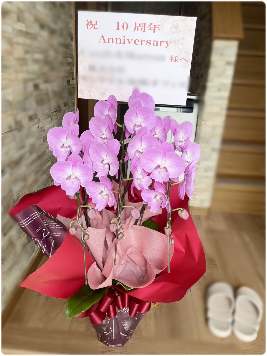 京都で贈るミニ胡蝶蘭の事例。受付や小さなスペースにも置きやすい上品な胡蝶蘭です。