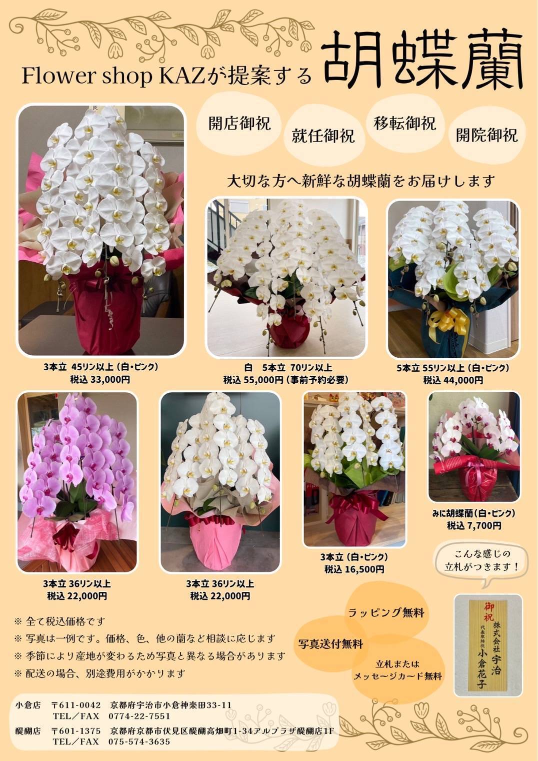京都で胡蝶蘭を探す方向けの種類と価格の目安一覧。3本立ちや5本立ち、ミニ胡蝶蘭の参考画像です。