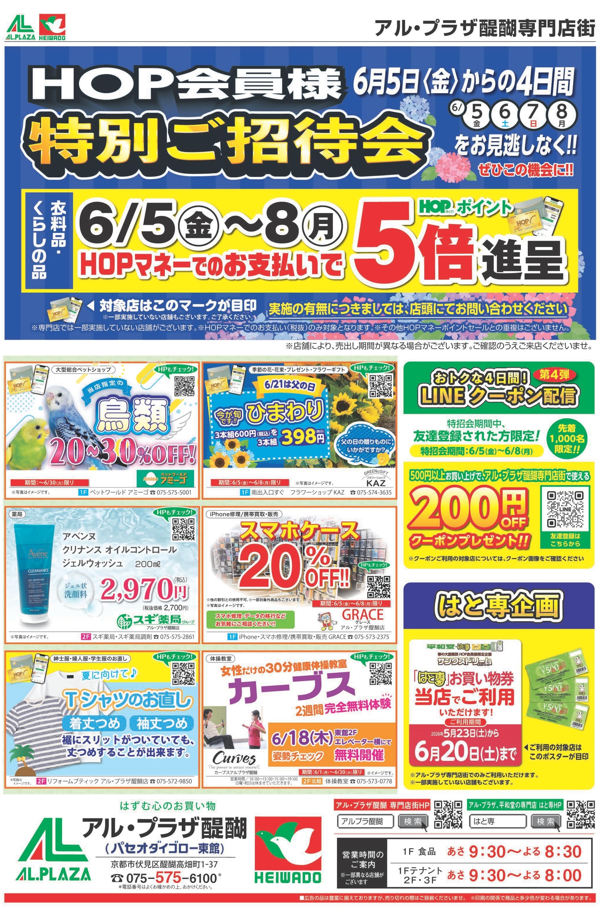 アル・プラザ醍醐専門店街 6月5日から8日 特別ご招待会 チラシ表面