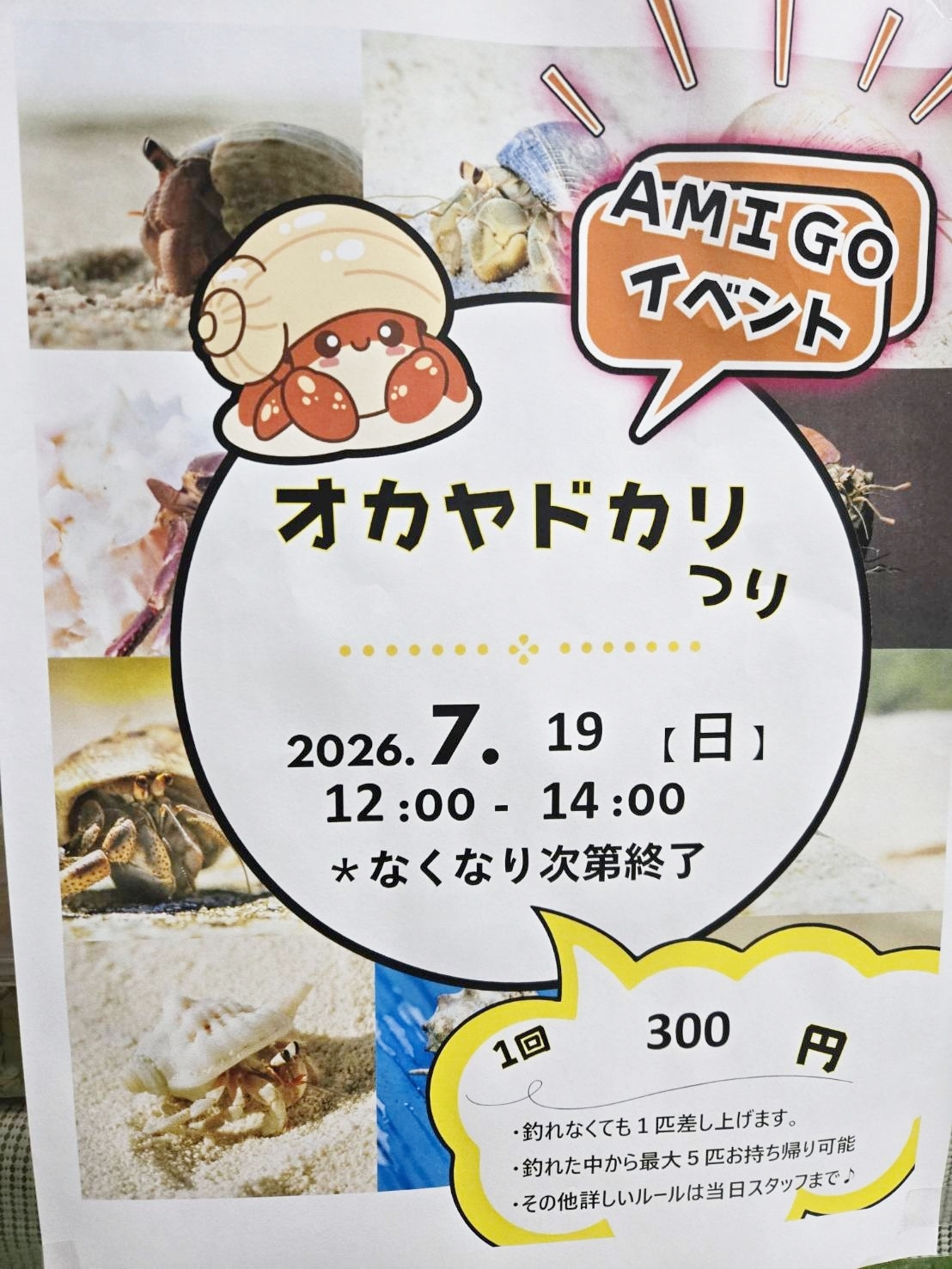 オカヤドカリつりイベント