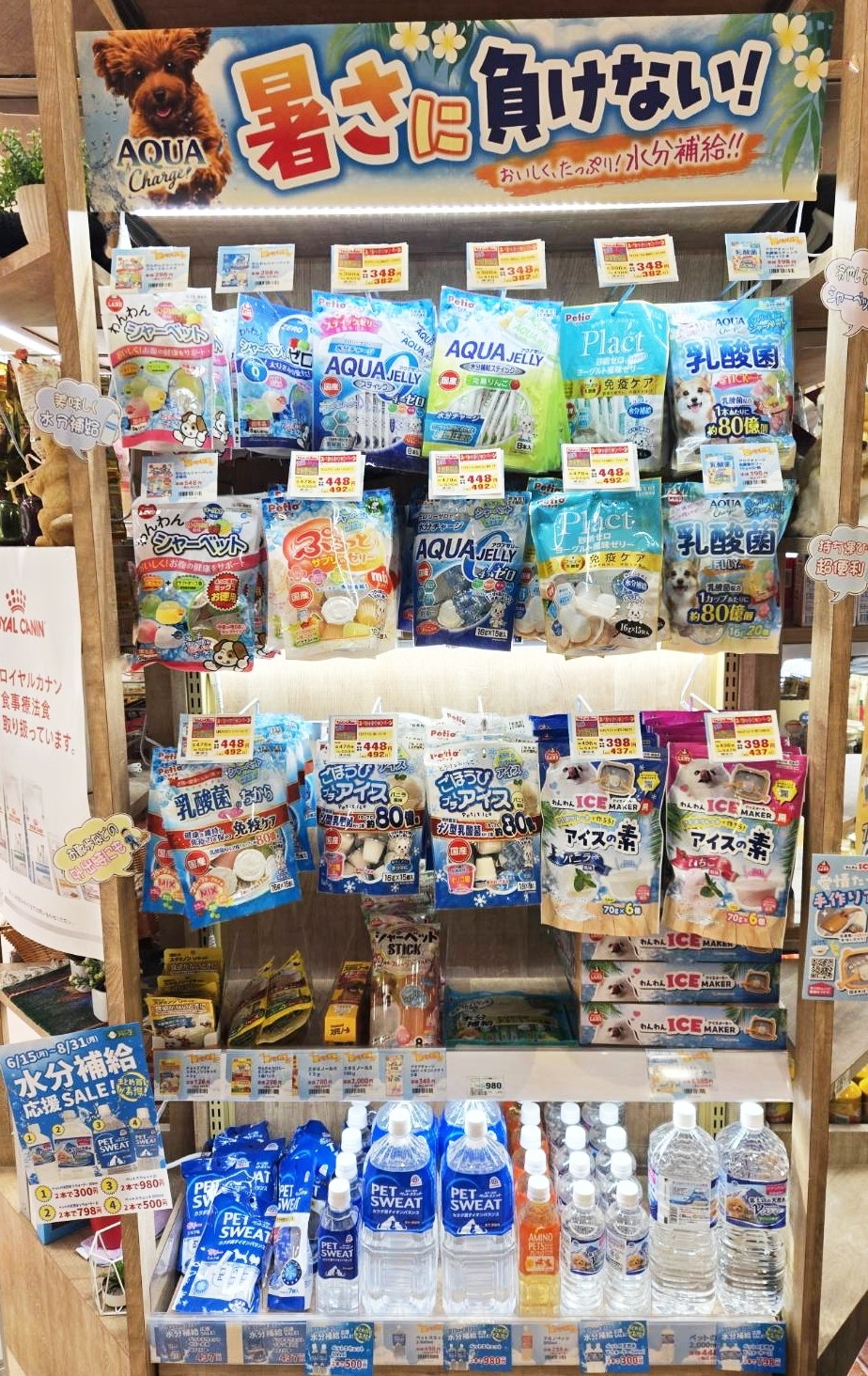アミーゴ 夏のペット用品売り場