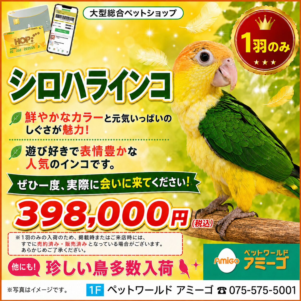 1階 マクドナルド