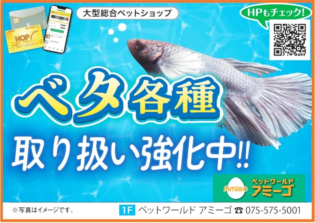 1階専門店