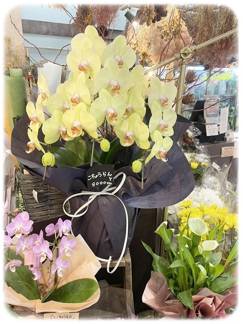 S__9535492_0 S__9535492_0