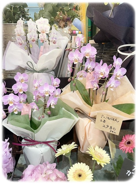 S__9535493_0 S__9535493_0