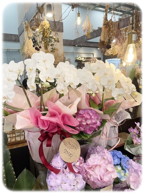 S__9535494_0 S__9535494_0